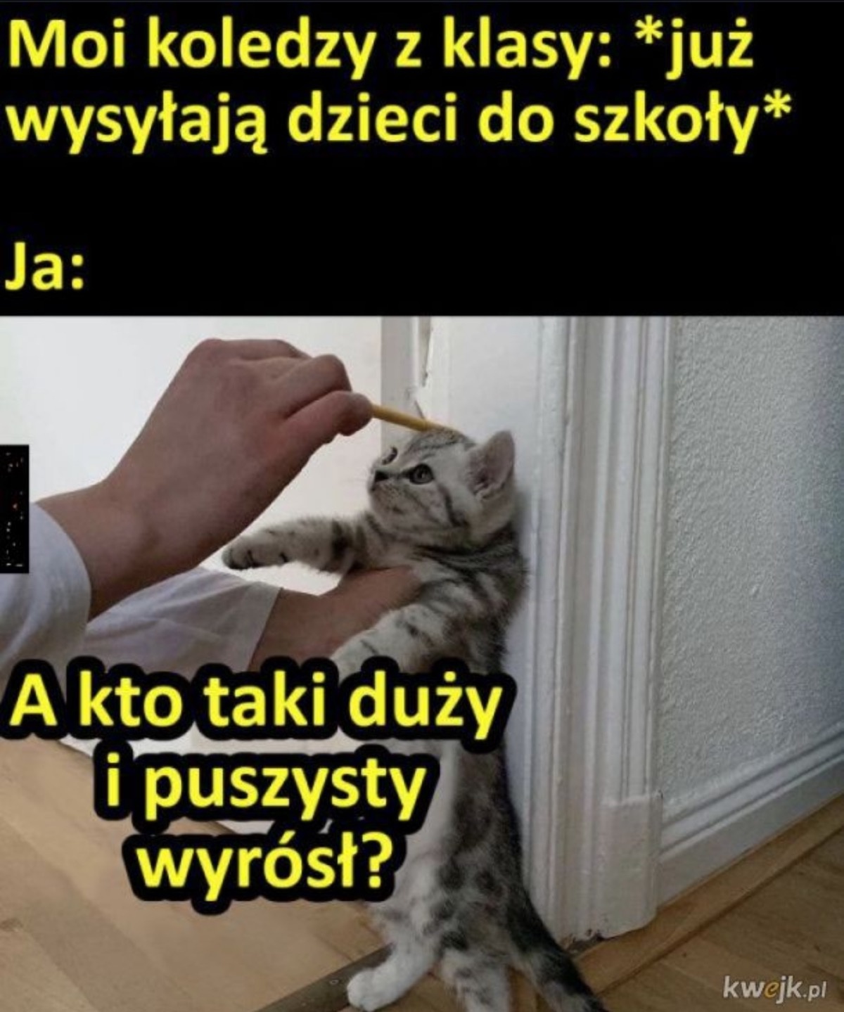 bc0f6a1b-5778-4a9f-b08b-7ebb57d6216b