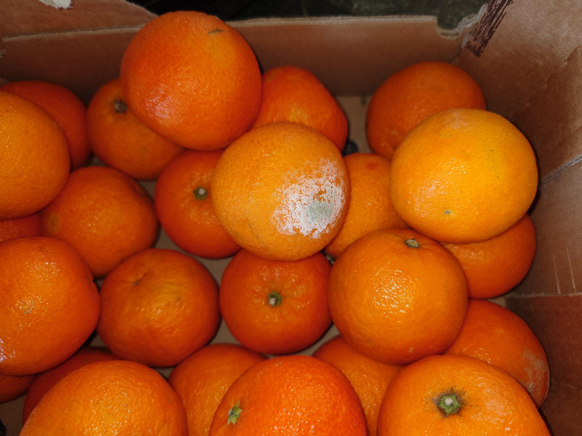 846a394c-9b0e-4769-a3a1-229ad1a9291f