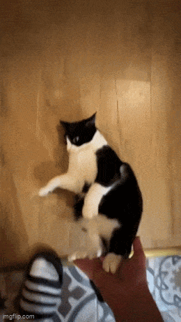 ea1eca6d-a554-462e-9d76-1bf24d0c4e5e