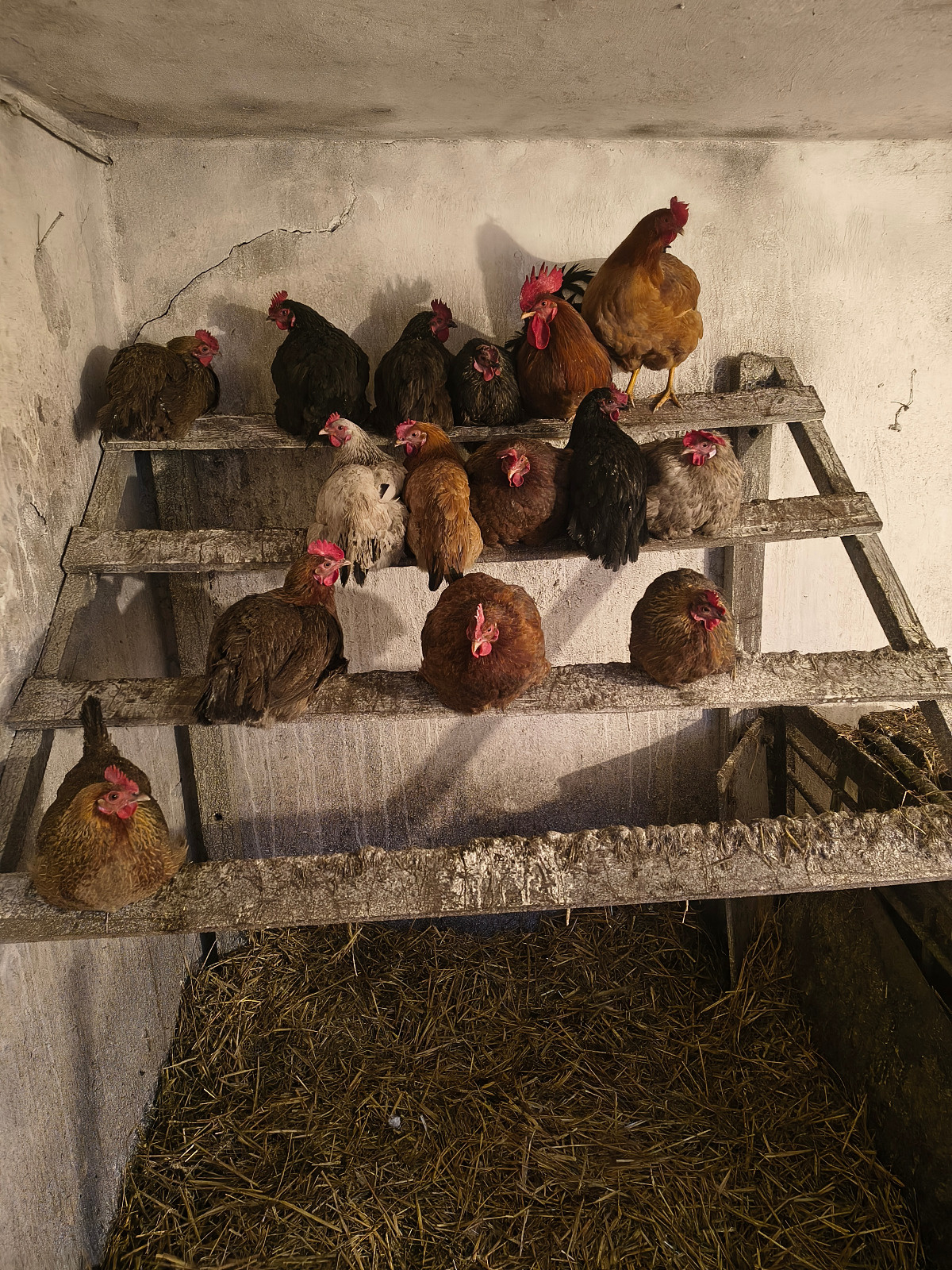 3eee6da9-9826-41bd-8233-a3ade3ce6243