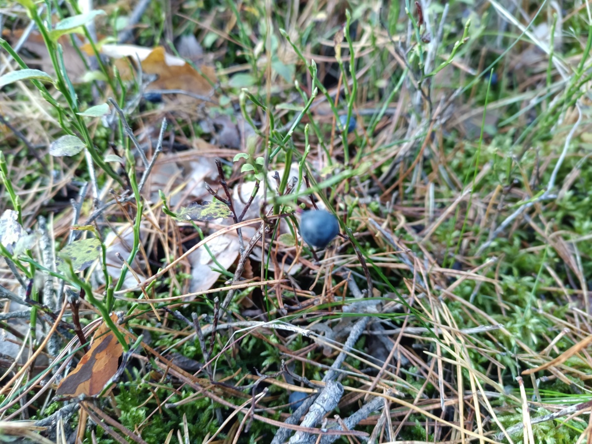 30f1c040-7930-47e3-8953-fed8f596a61b