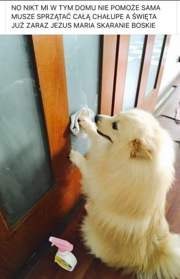 b5b3d7fc-24f9-4150-95d4-f18f5b87b9e1