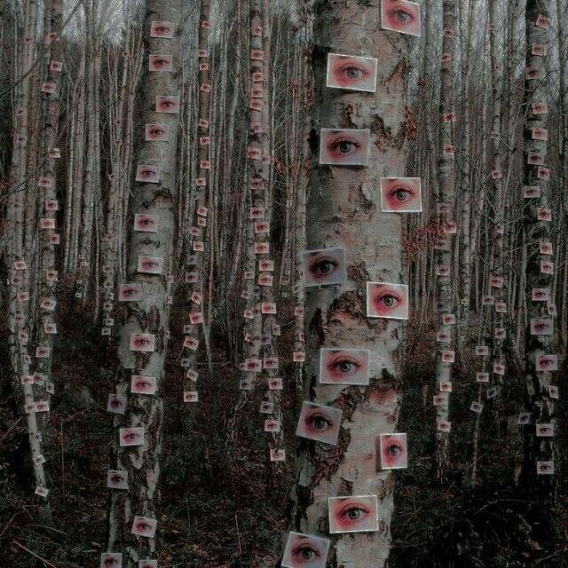 6a493054-0f51-4f83-9d0c-8670b639c81c