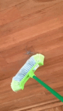 35dc9248-427d-4eb8-a1b7-2d975a2ad868