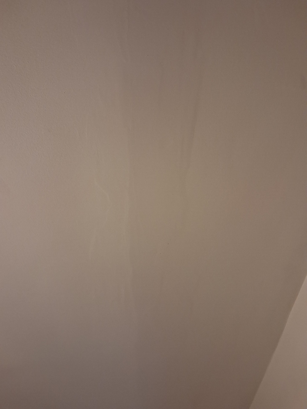 43814199-745b-4aa0-88b2-d516e5220742