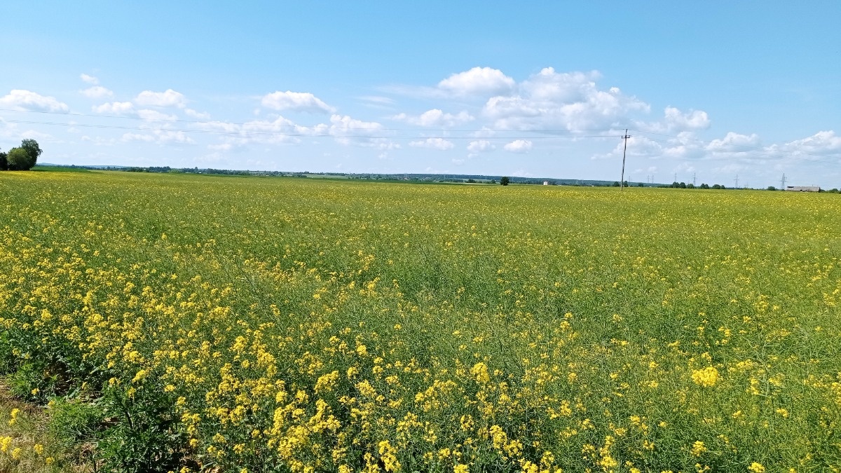 95b1316e-0db6-4555-ad19-47d9fa137eaa