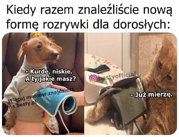 68039e03-5e11-4ac0-8fd4-df0add8a886f