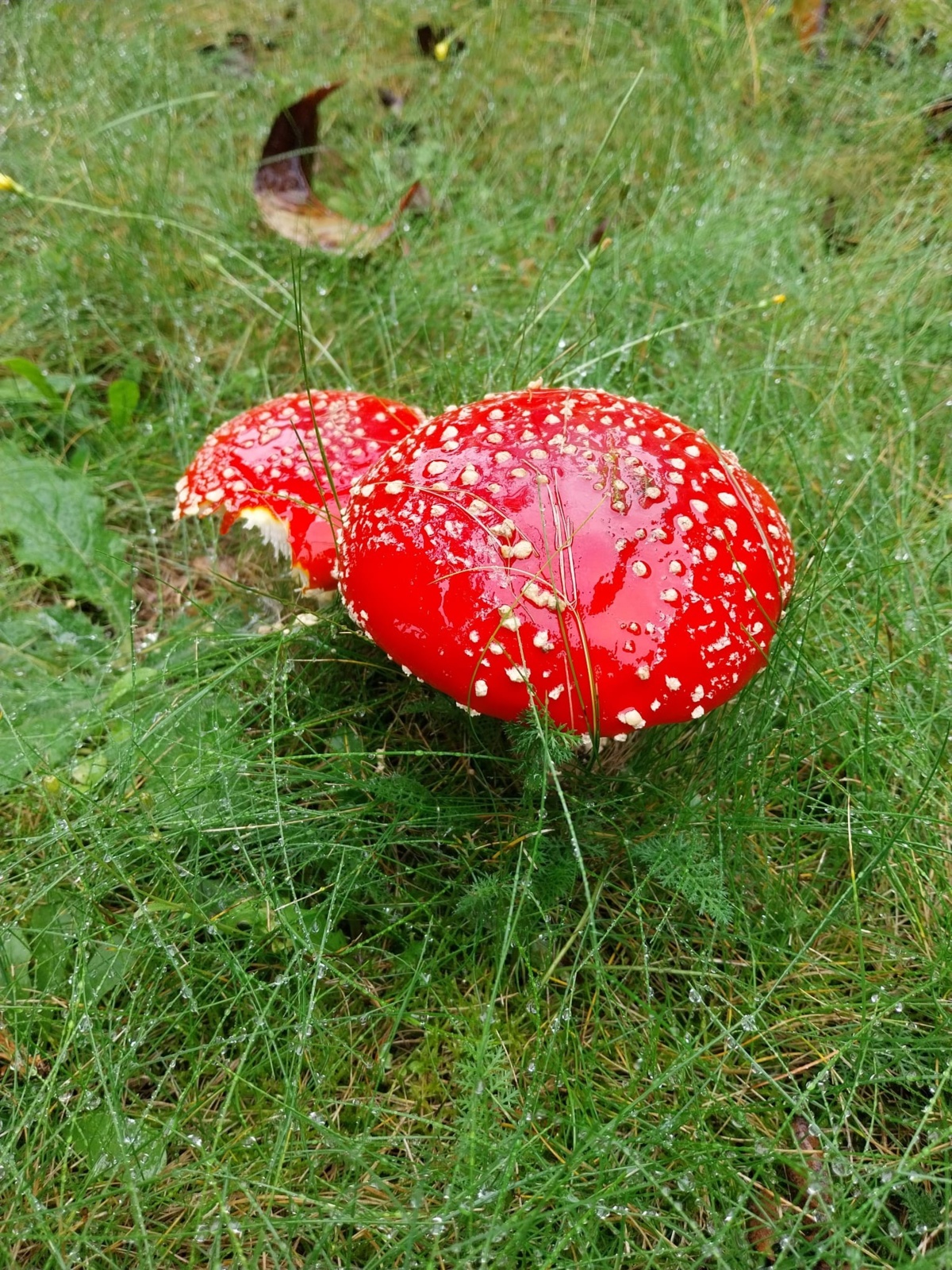 40f6251e-603b-4227-af57-f22bfbe77dd0