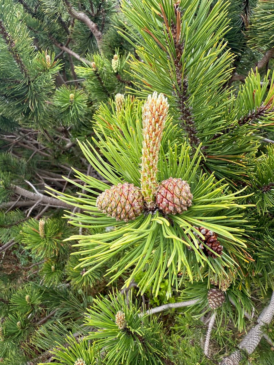 0f219f14-4d72-4c66-94d6-1b57bb2c20b8