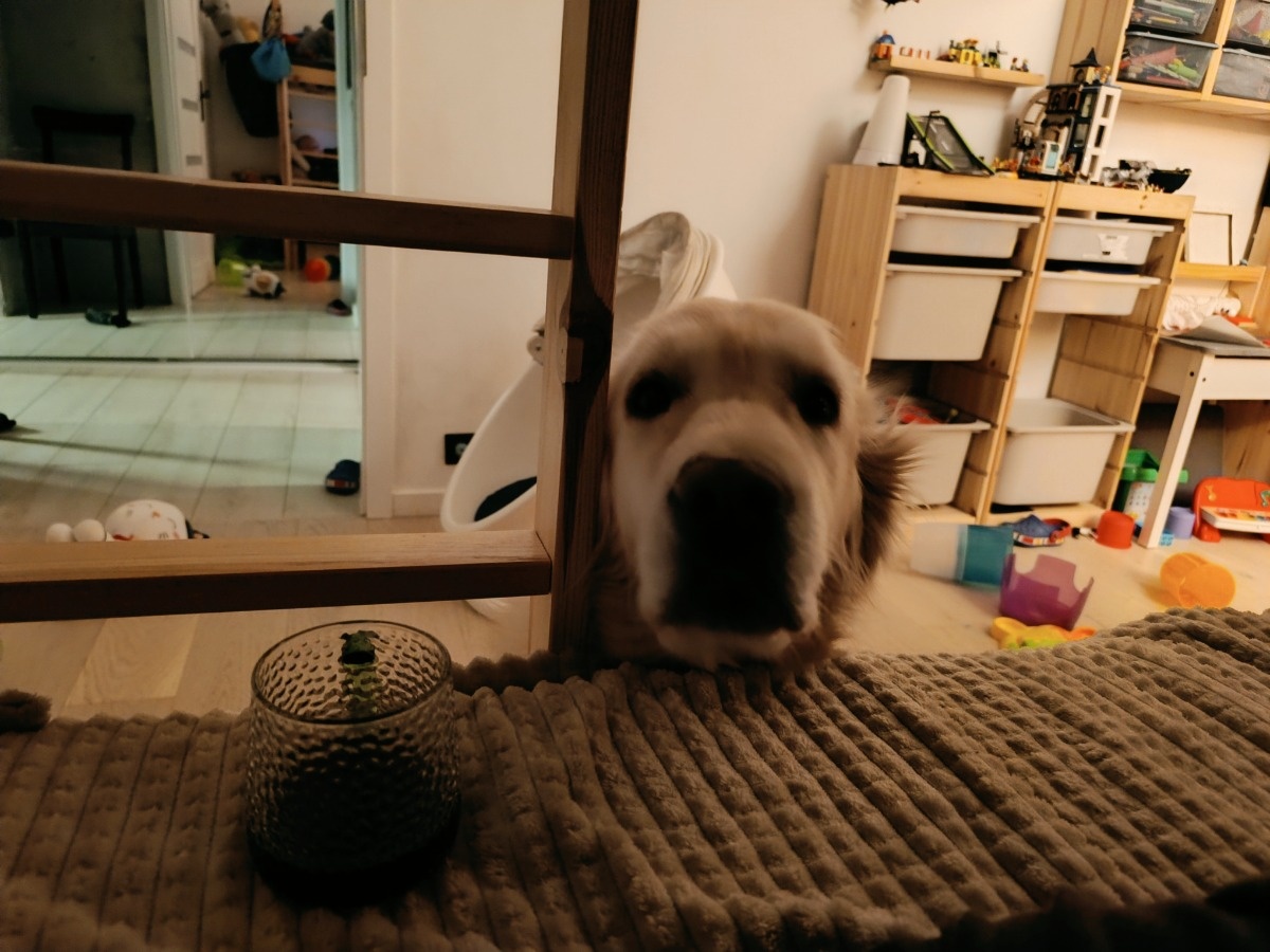 f0f4265e-1c02-4814-8b97-13c34bb30dc8