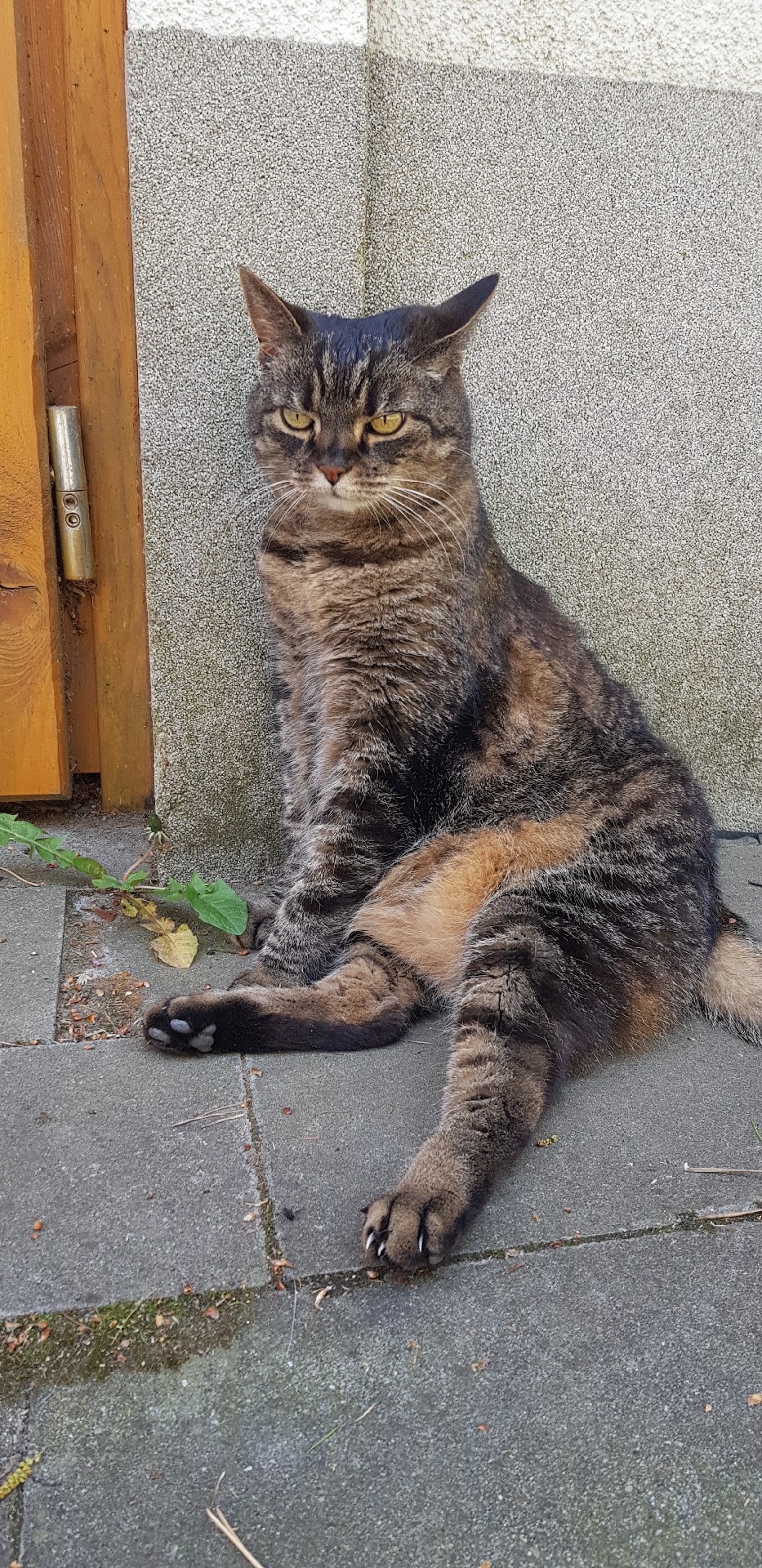 ebc26deb-a1ed-40e0-ad68-3d1d86c79b90