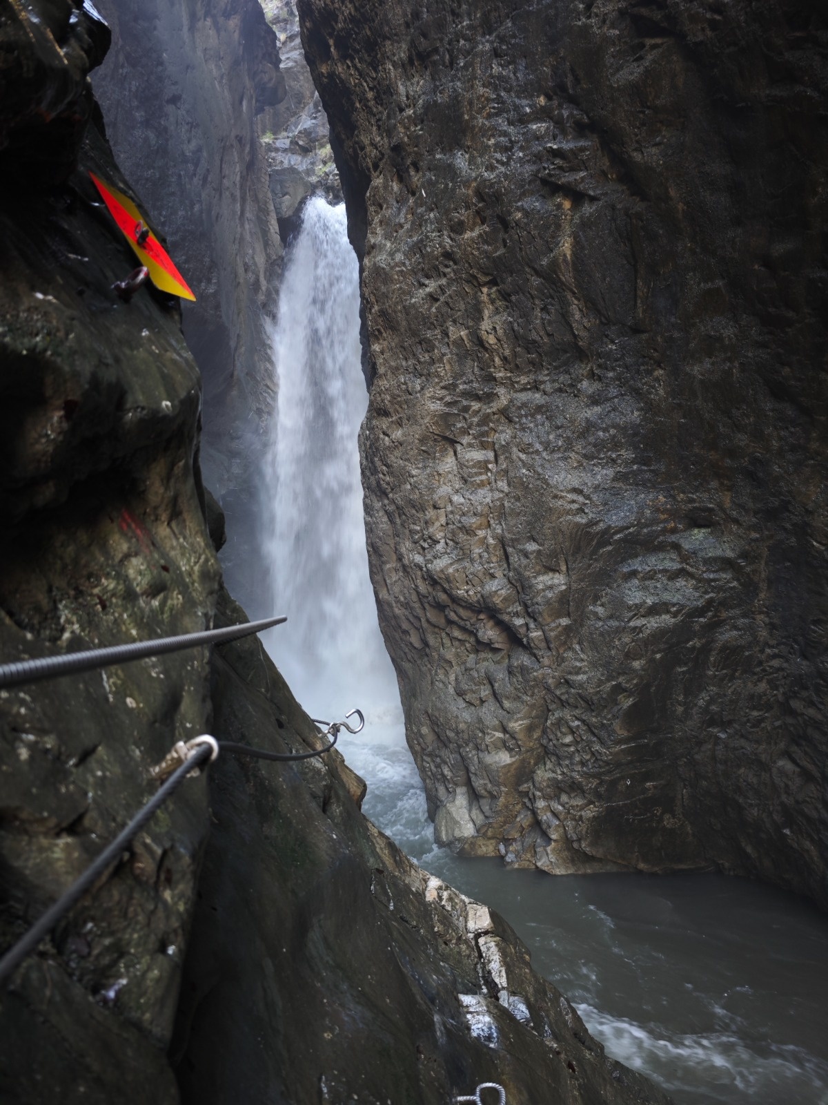 def5af7f-c5ef-44fc-82ea-d42f17f28fce