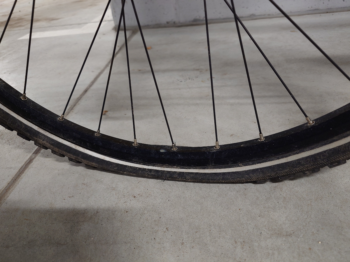 b4bae13a-3ce4-4382-9f89-a7d5432aa546