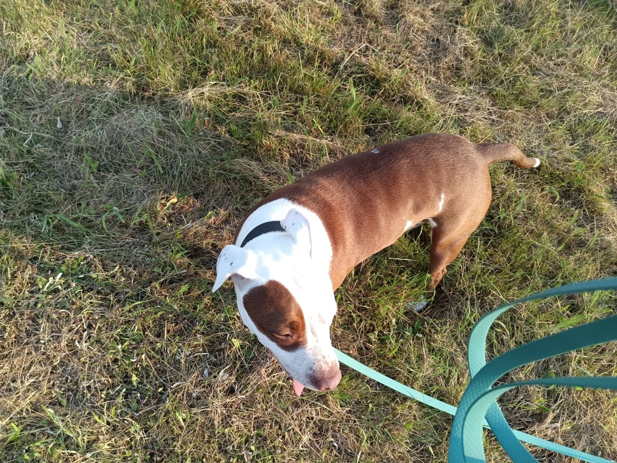 dae2553e-183f-483d-be41-ff201af64045