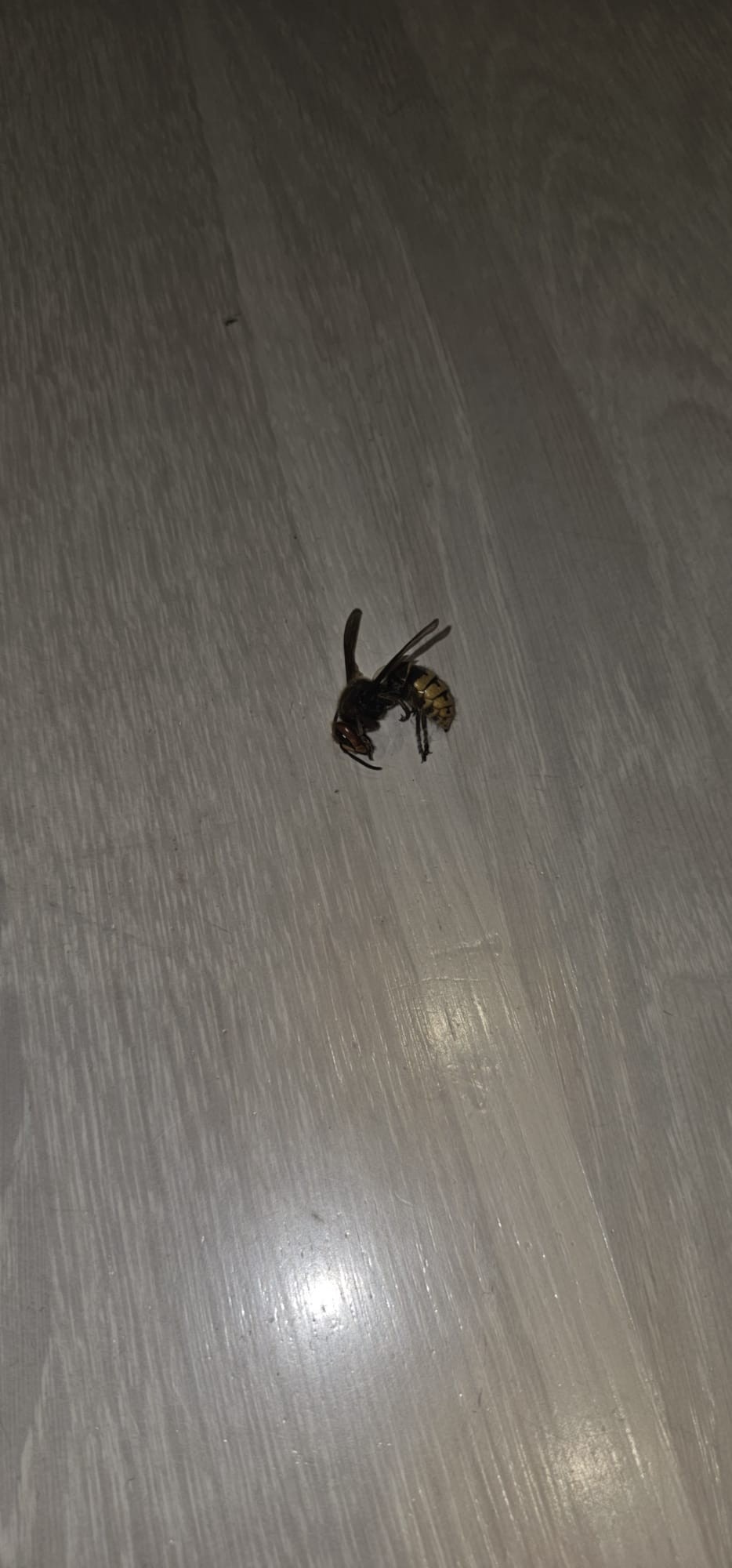 516984af-bc7f-4c04-8990-7acd07711d9a