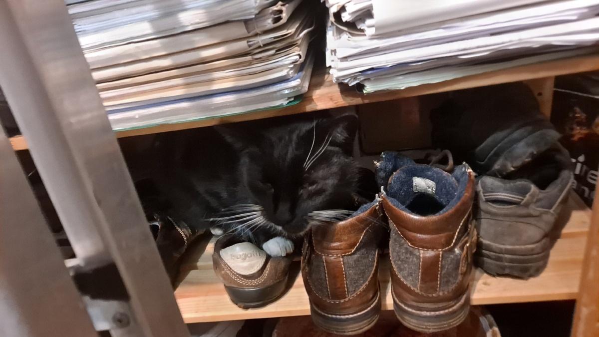 213f9c77-1535-422f-bbf6-bfeaafb038d6