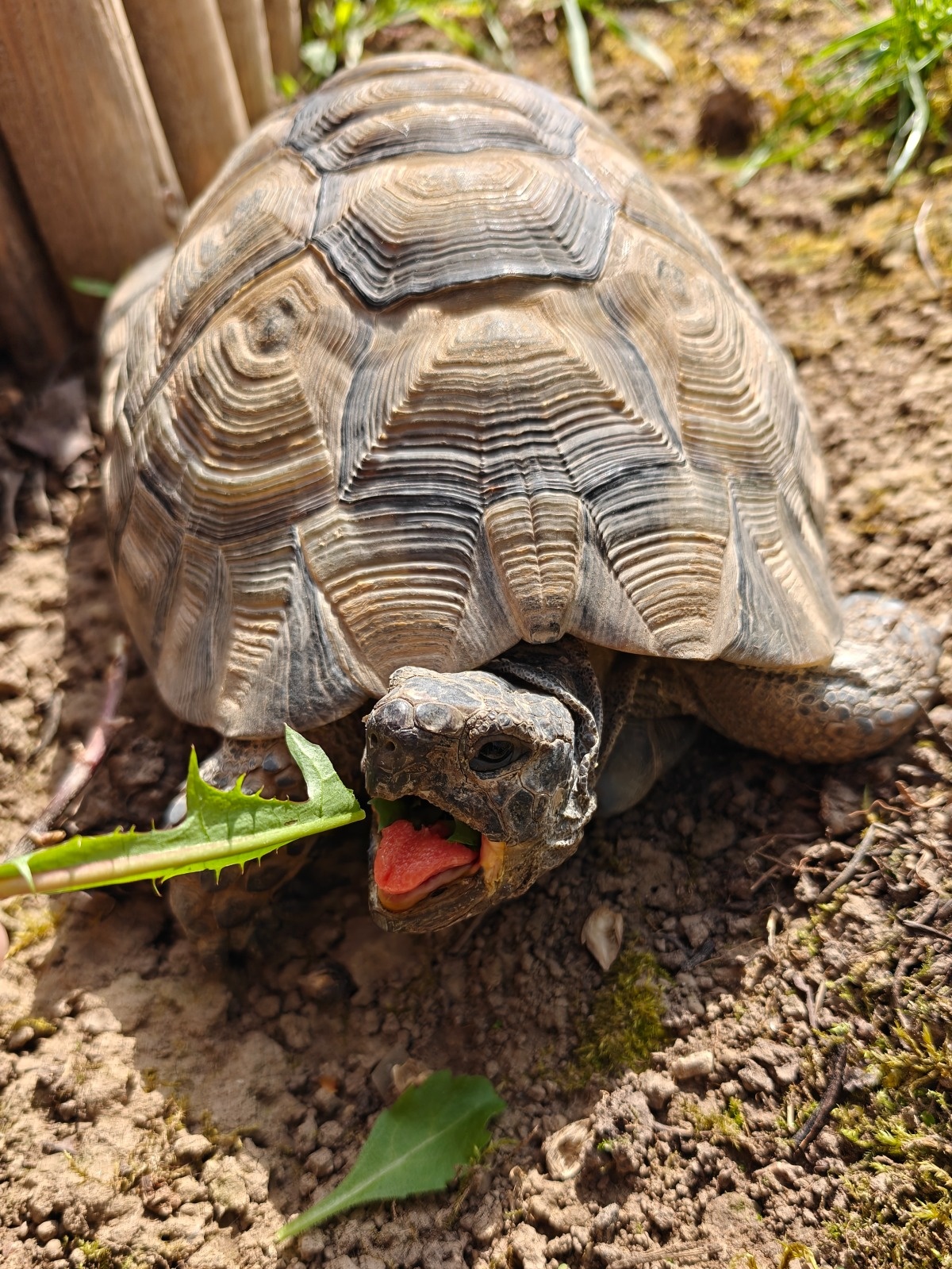 f97472c5-2c19-4dc2-bbcf-f722a8df338e