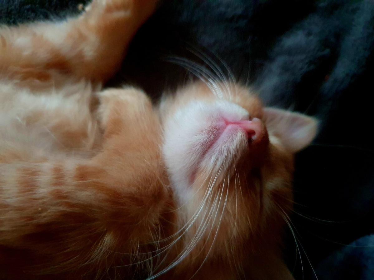 5d1cfc28-38bf-4088-867f-d428a035544a