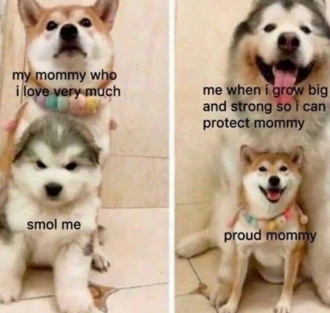 0d269b09-5c81-438d-b2a5-f367b31edfb9