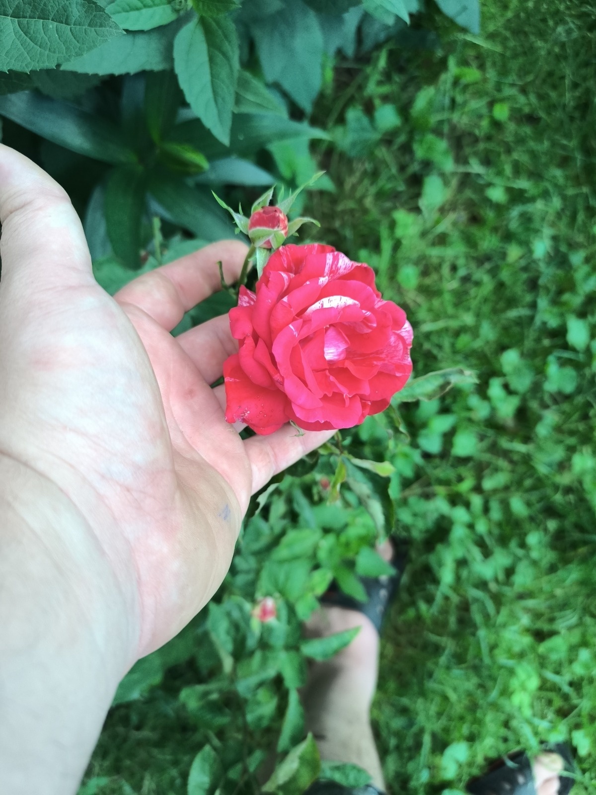 d8175630-865e-4e46-9b96-3e663d87b2a8