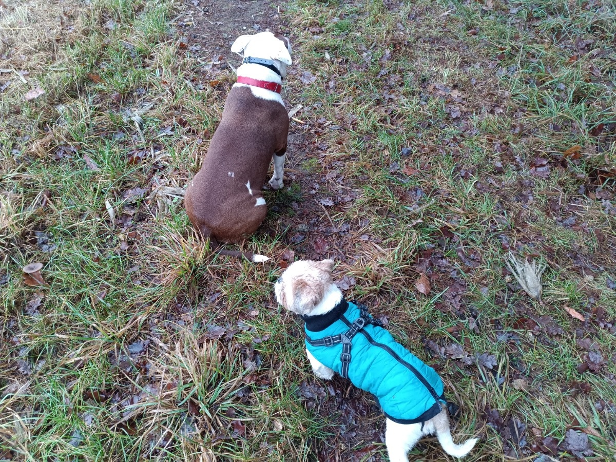 138fb69e-ccf2-4efb-8c62-44534a2e06f9