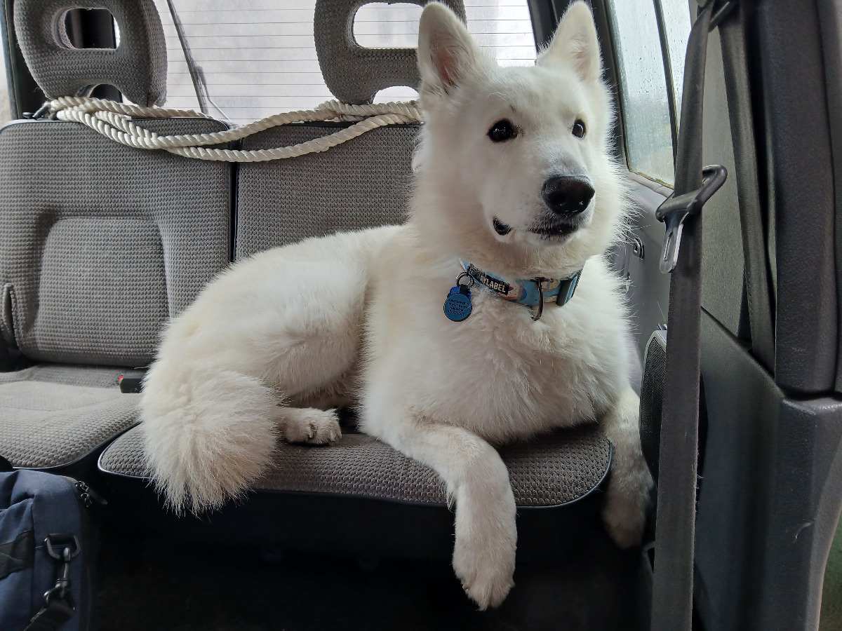 51ea8d8b-65cd-4d9d-89f8-6416d833841c