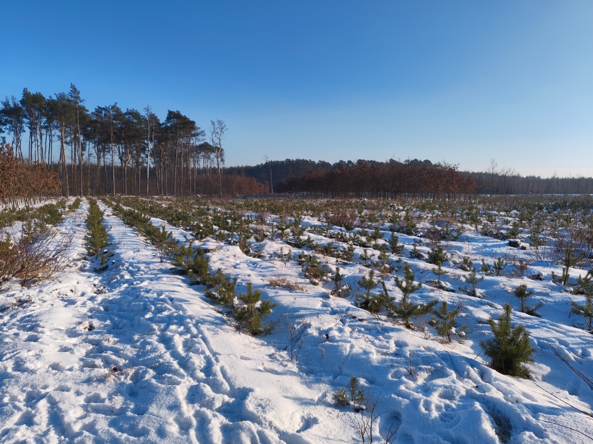 14151756-7c57-4645-ba15-b0a855d15c99