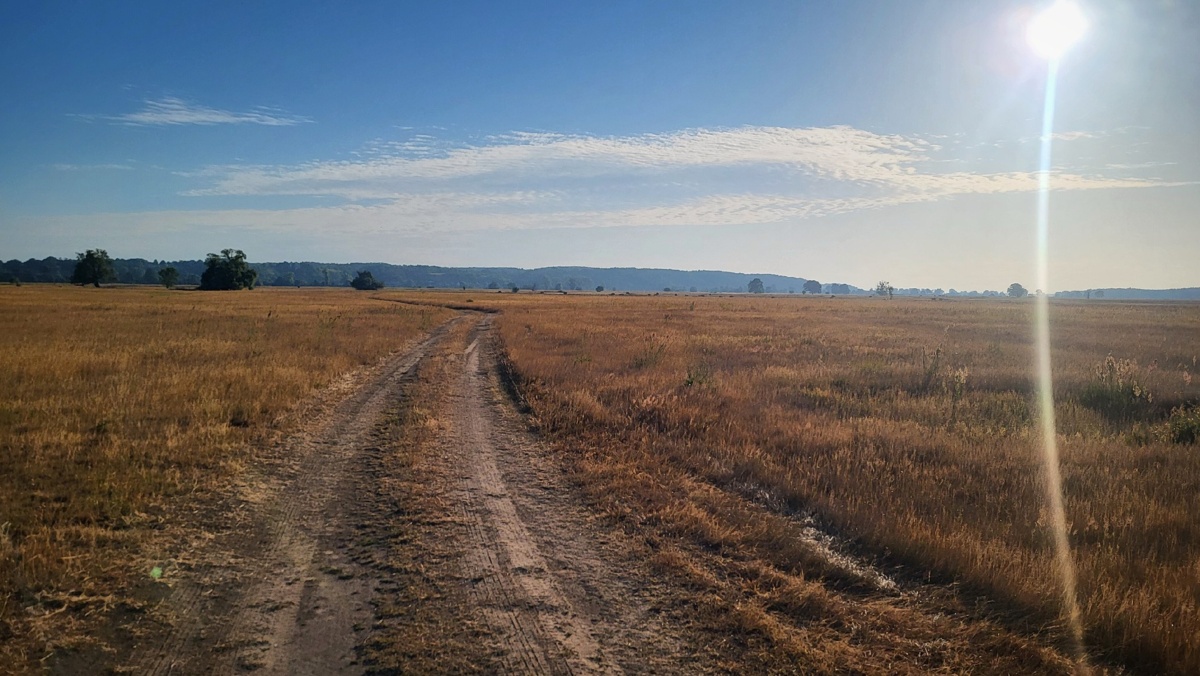 1521c917-9497-40d3-9f34-9040e2c84344