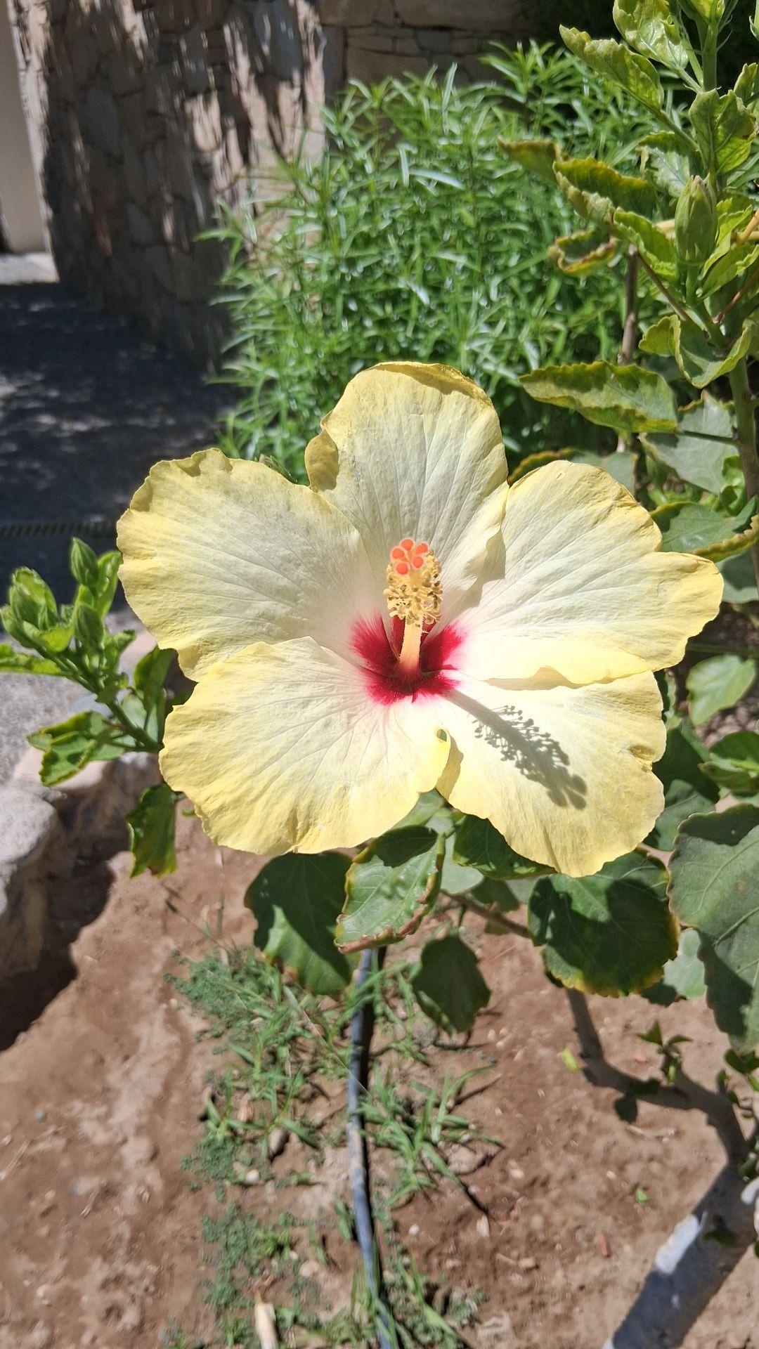 900a08f4-5c5f-462f-a91e-1c28100f5bd2