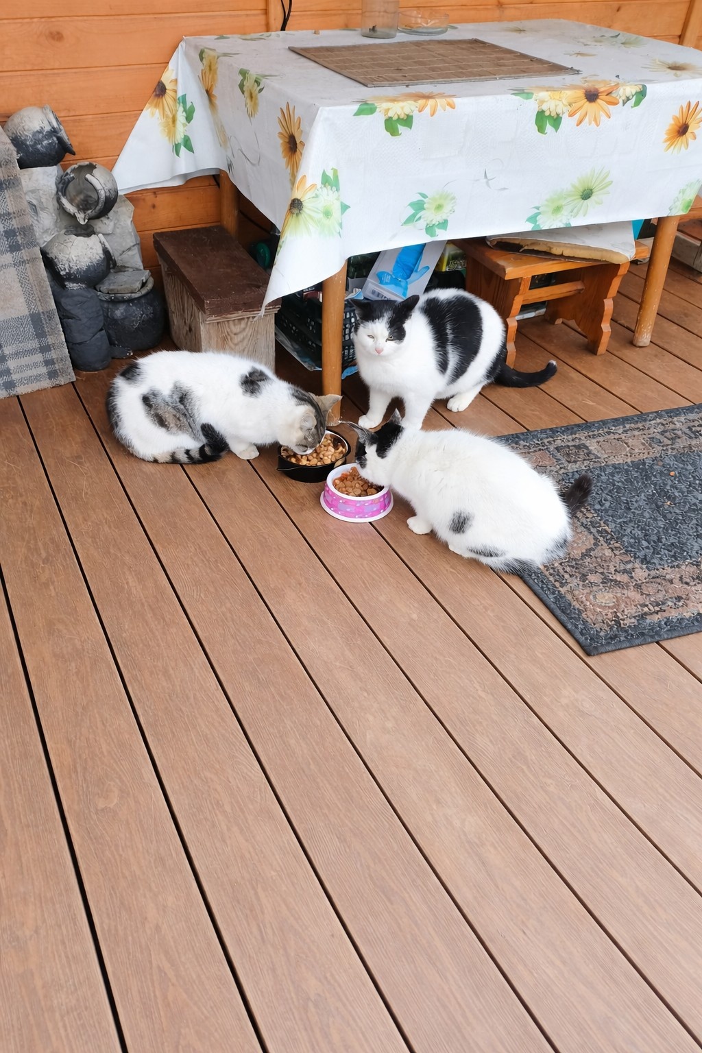 5f61378a-55c8-4bbb-a1fa-0ebb7177b8f9