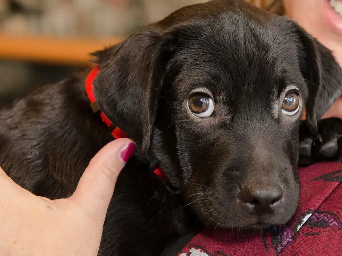 8cb2b16a-40d4-4d40-95d9-8c7eba85df0c