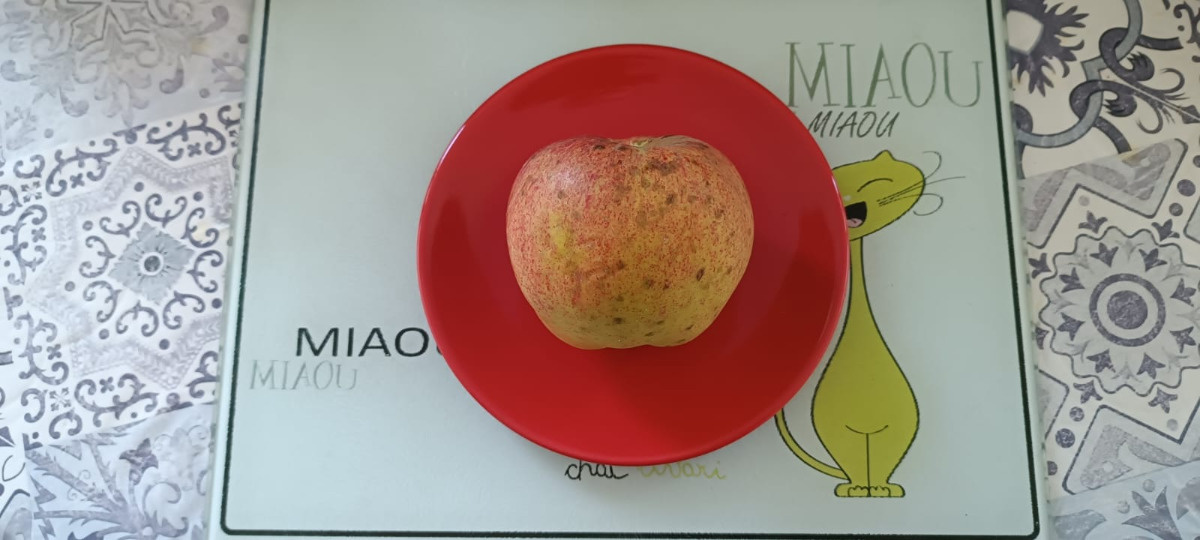 7ed705c1-5b0a-4203-b0aa-07fdc2b5605f