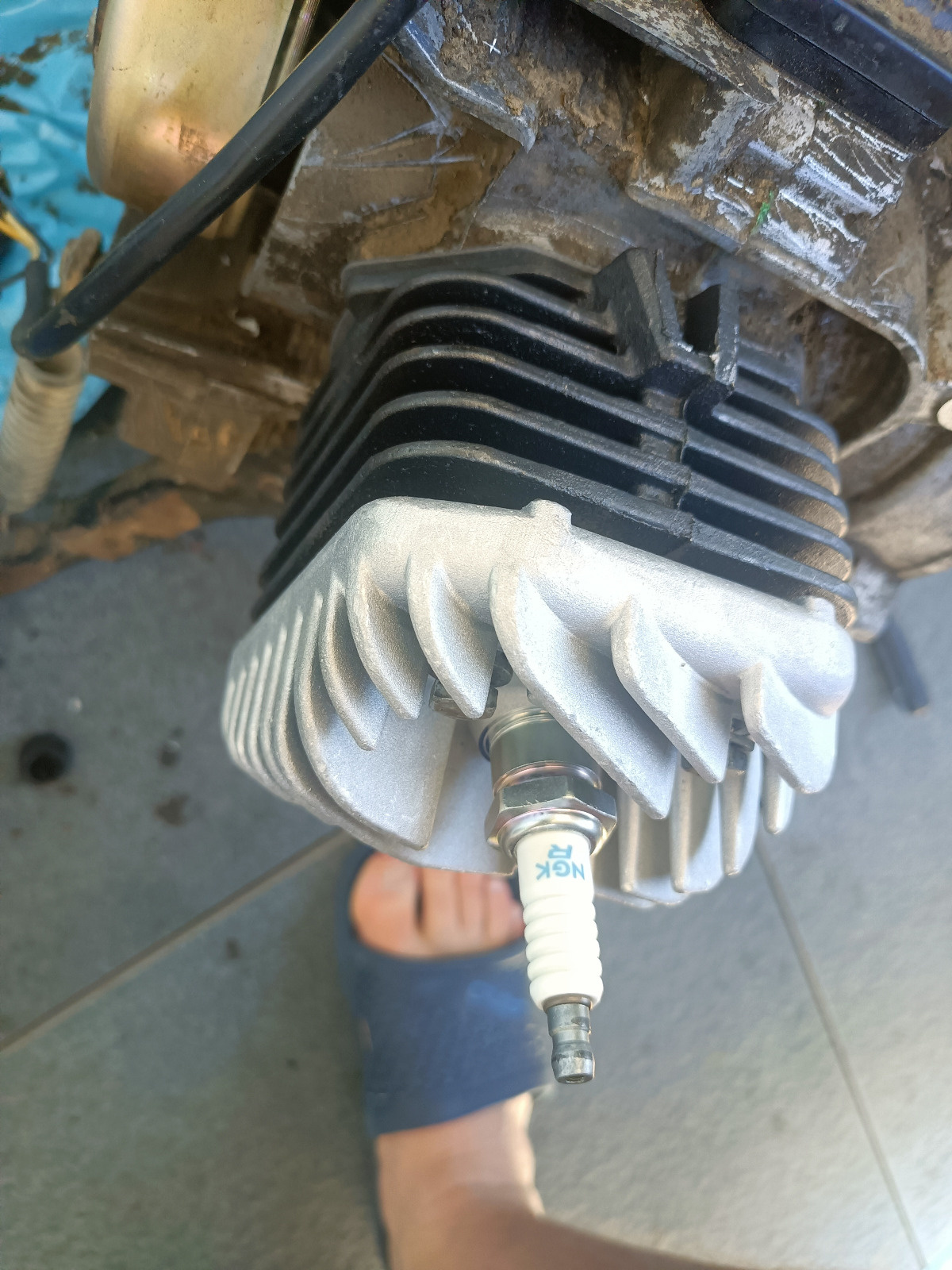 362ead93-6b69-4373-a211-2c190bd06214