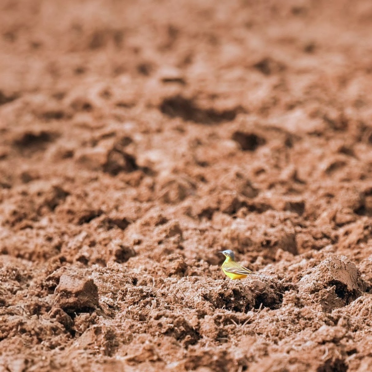 ba3eed27-16b5-457a-a3b9-61fc92512a6b