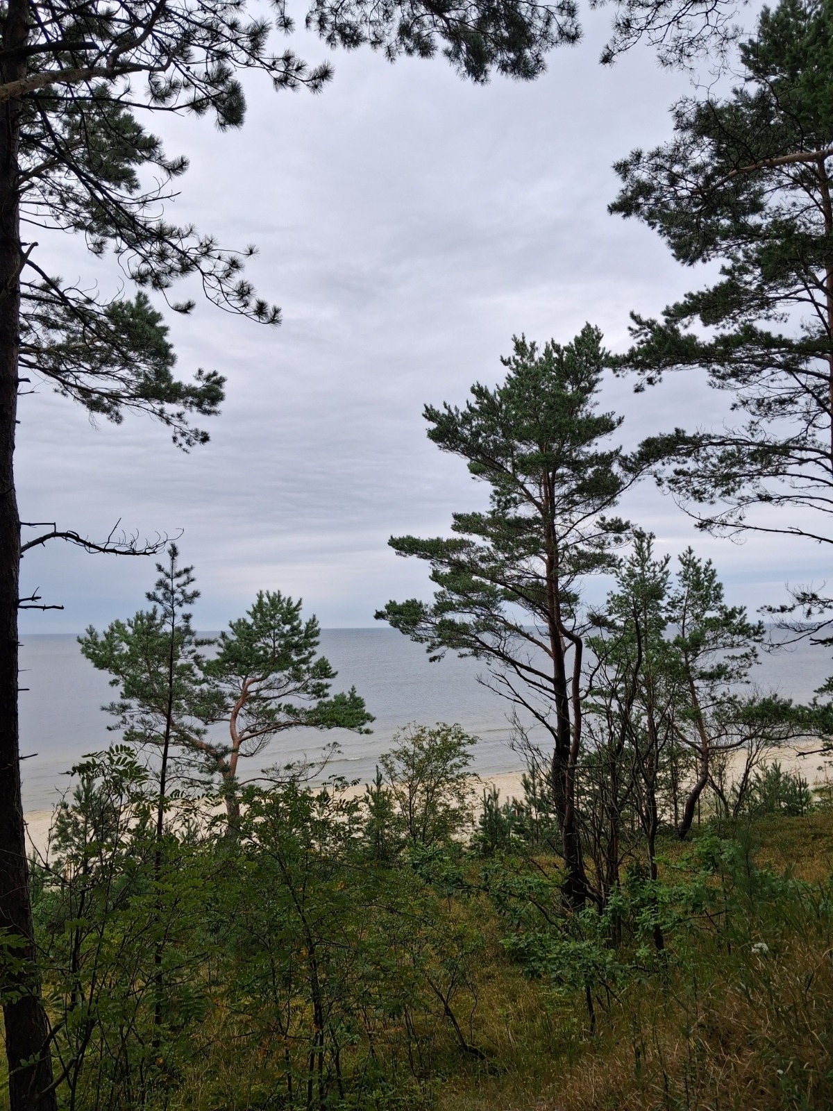 35d6ecd8-e8e2-4272-bc4a-26fa7909195c