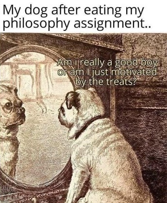 39367212-b313-4eaa-bf2f-156bcd8b0efe