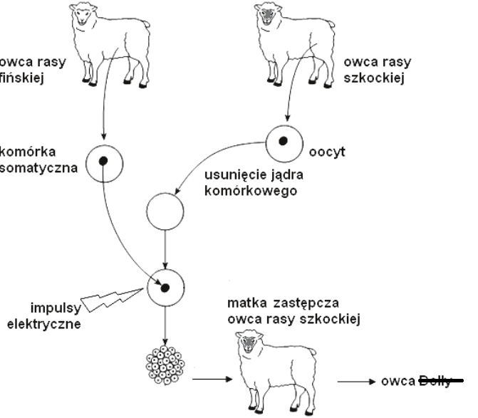 2108d3a3-c41a-4ed4-b61e-cb32f8ac831f