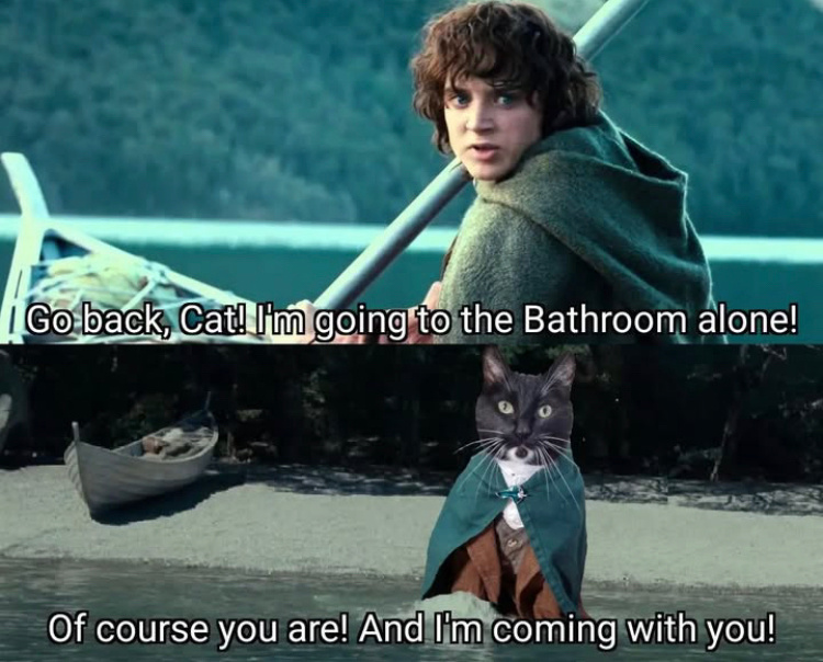 5aa1a108-93af-48fe-8434-87f190fbb388