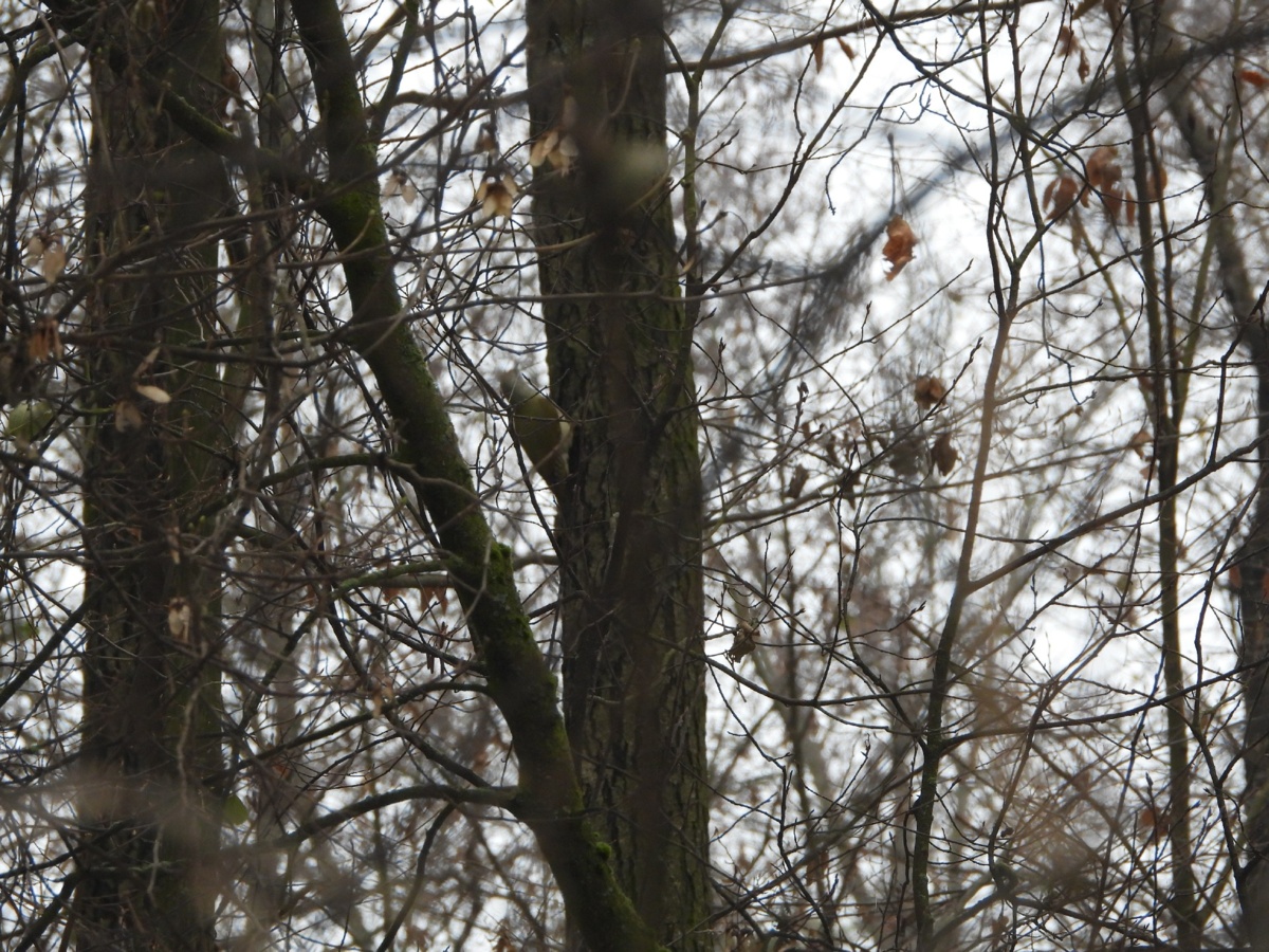 44b8c930-82bf-47b0-bac9-bd81d83e13cb