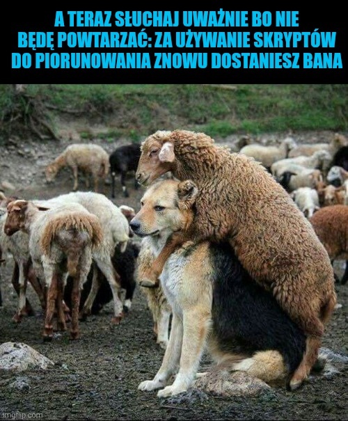 cd963eb8-d2c2-4bbd-a2e1-6ac3d18c130d