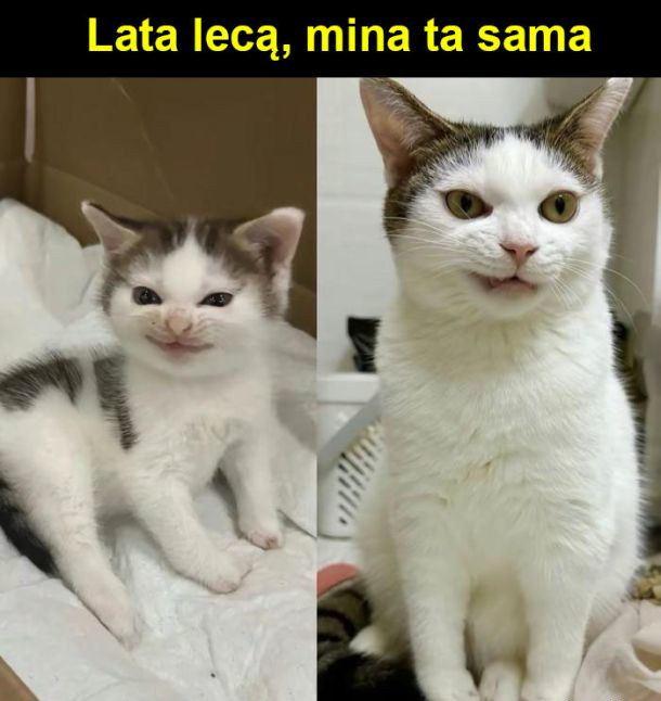 112dda6b-e1c6-4ced-9885-098bc5af4793