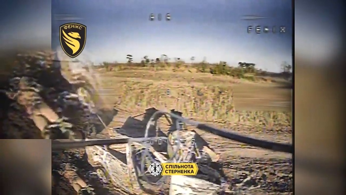 042fa5af-7b81-45fa-b059-6864bcc1cadb