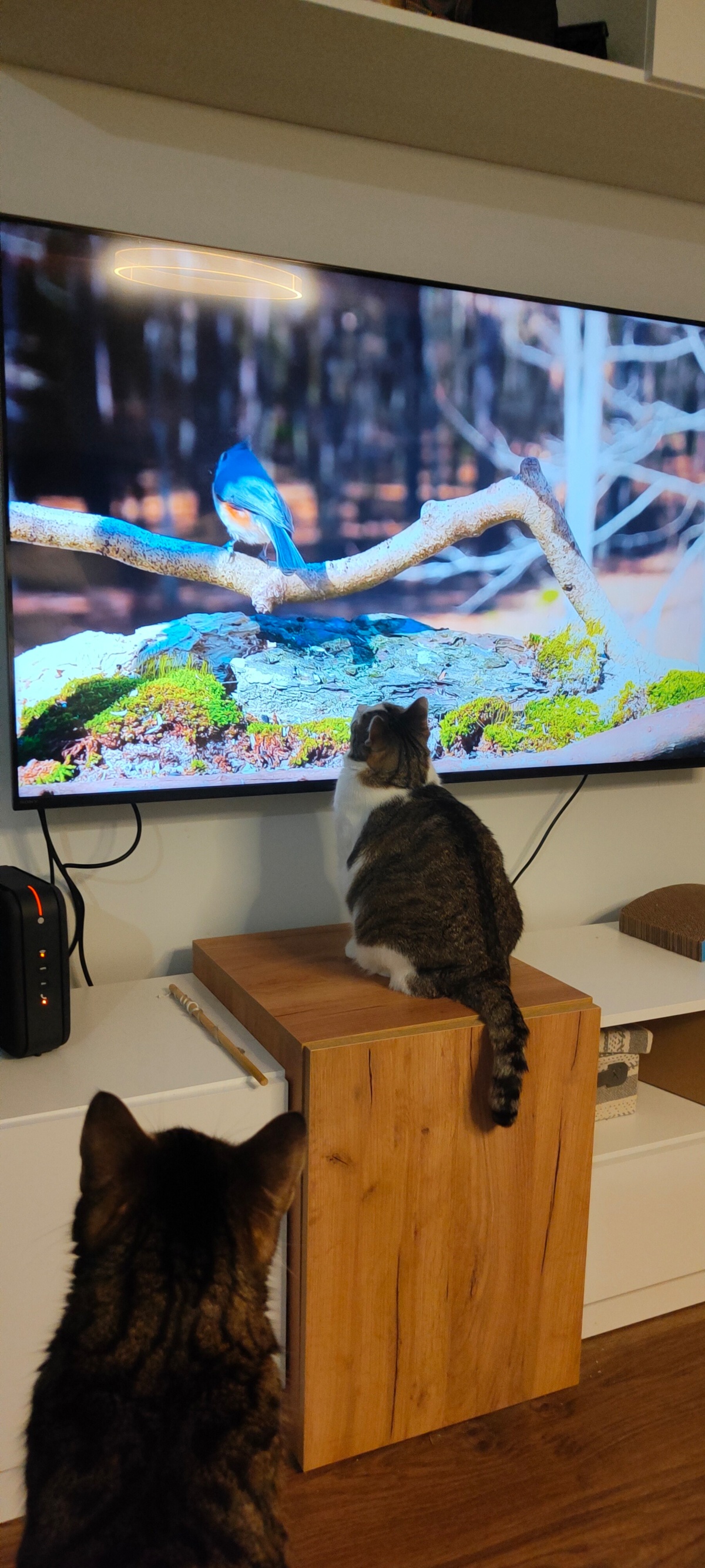 e3e23531-42dd-4929-a022-f720f769b70b