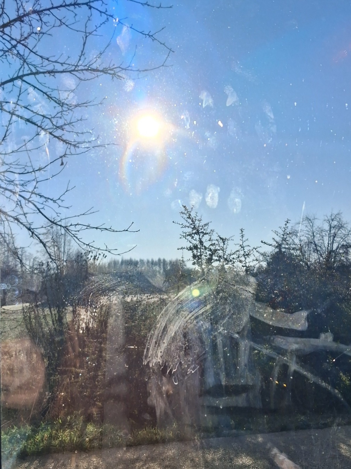 2e525035-1e4b-4b8d-90f8-f917ada25685