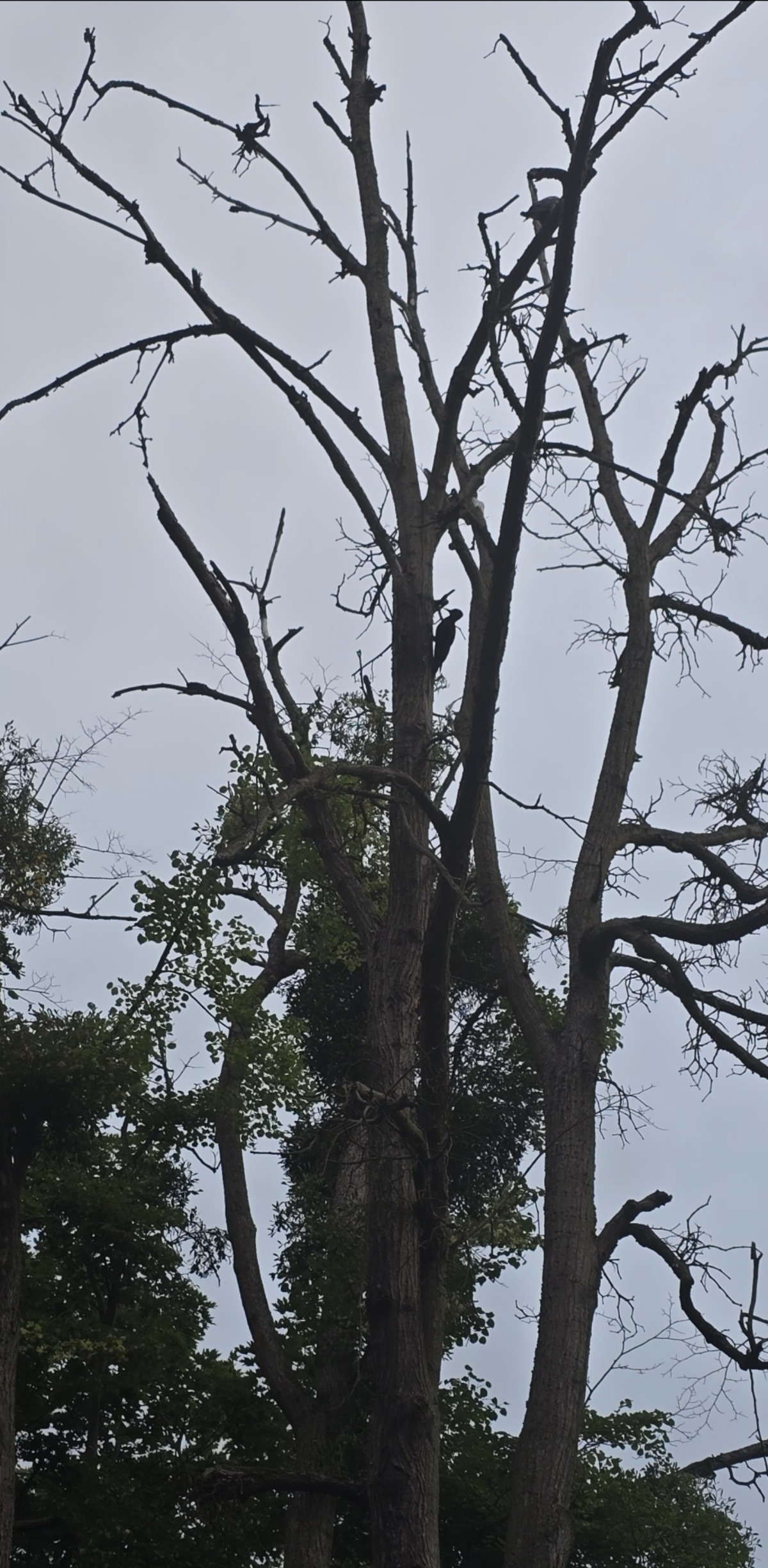 5ff46f3f-2c50-4d91-aa71-ca7678787018