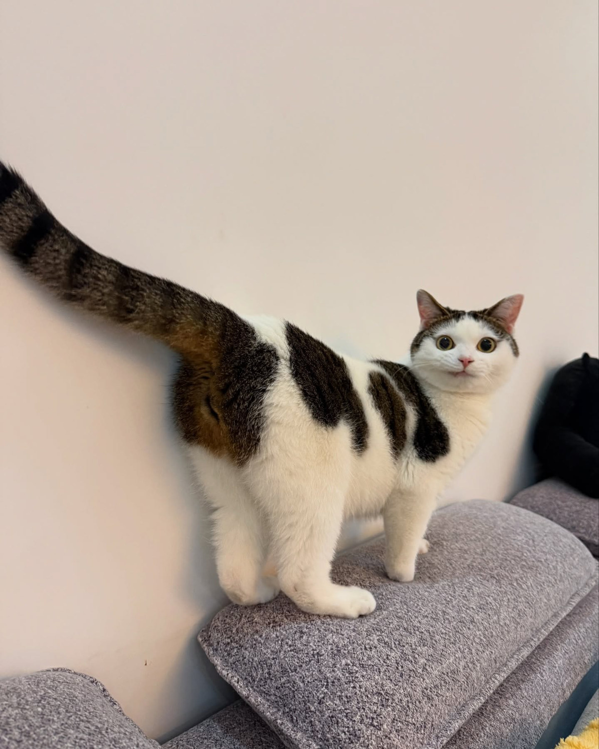 ec2edbdd-42a1-4ca6-b257-16380e50db86