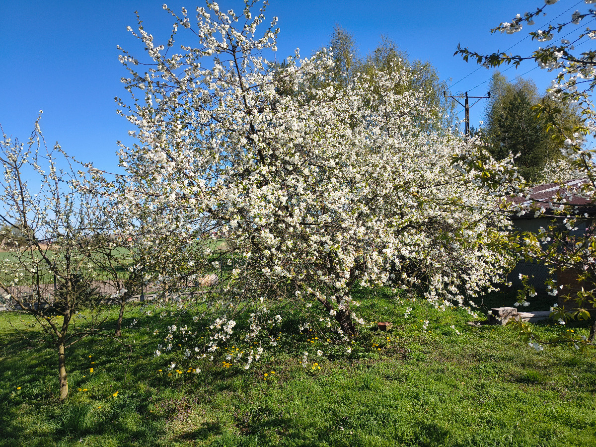 e8ff2b47-332a-4c36-bfc8-45d24ba1e283