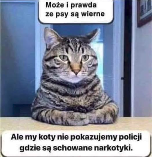 2d97733a-811e-462a-a9a9-7265ec8aa7d3