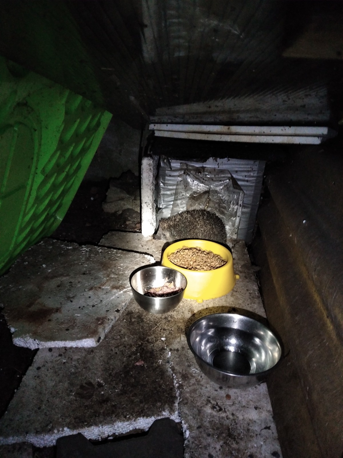 def1e55f-30be-4703-8091-8aae9ea6c5c3