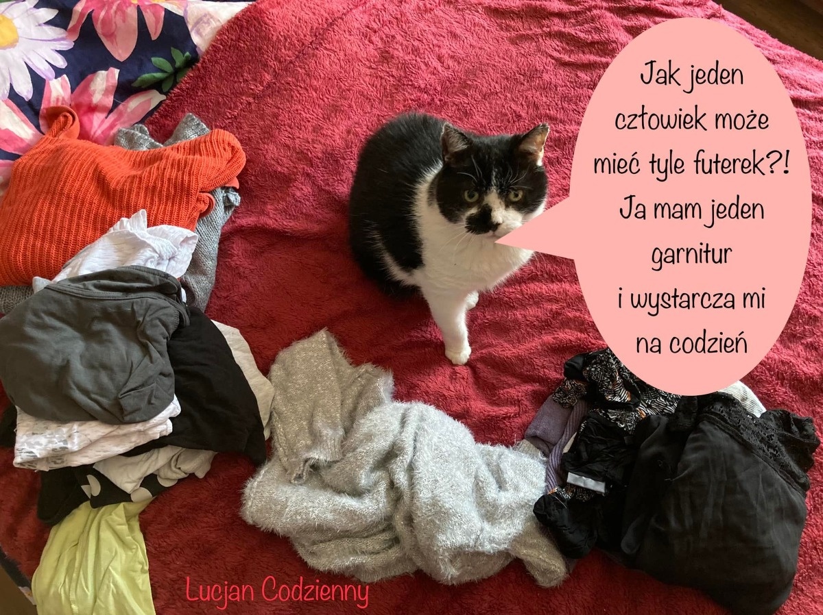 254cca52-7283-4635-a3c6-6df3db05086c